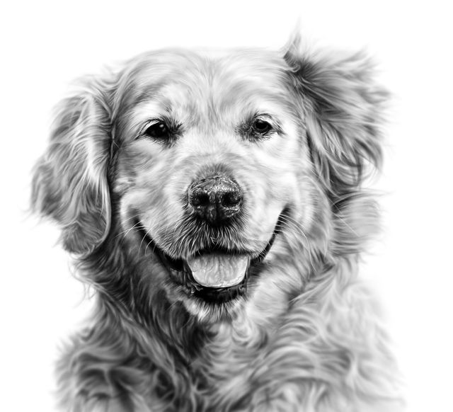 Digital