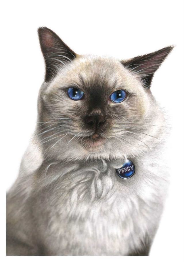 Colour pencil