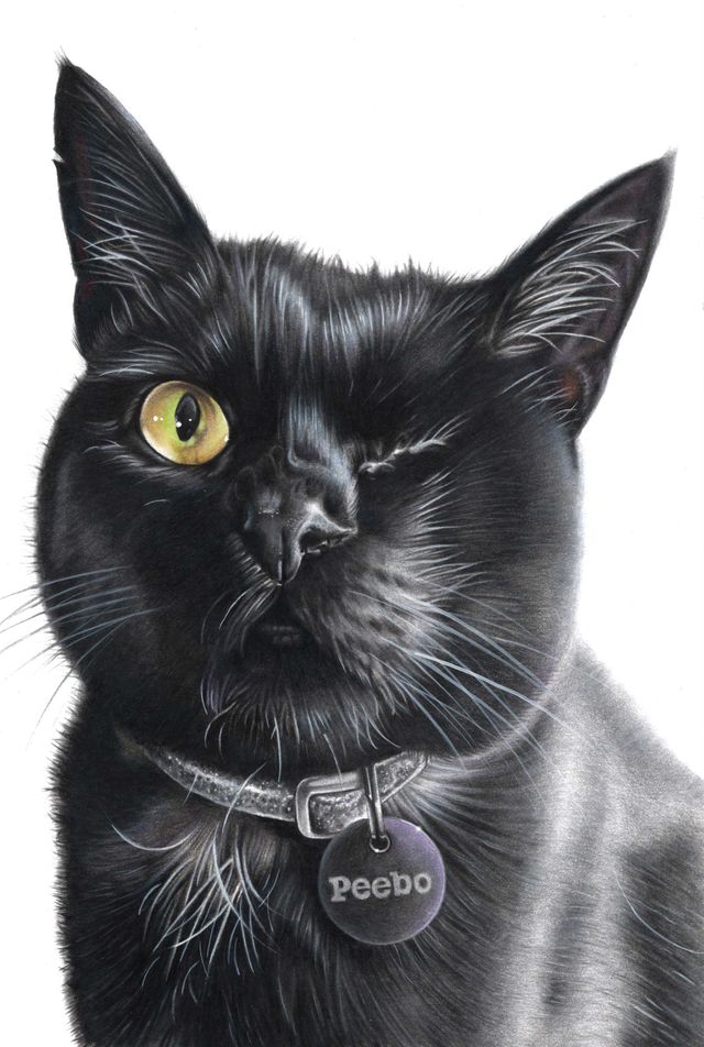 Colour pencil