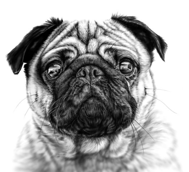 Digital