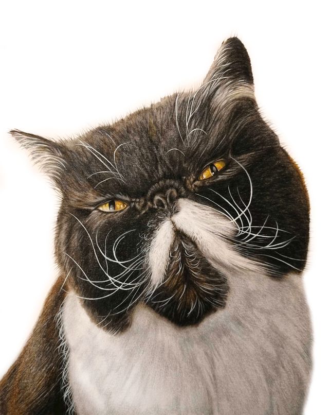 Colour pencil