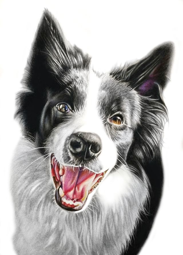 Colour pencil