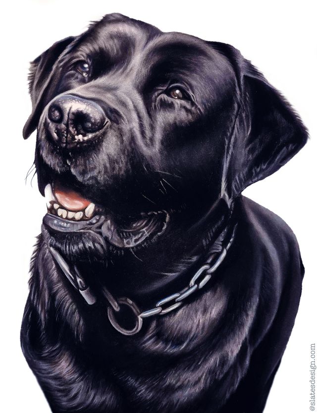 Colour pencil