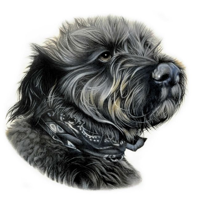 Colour pencil