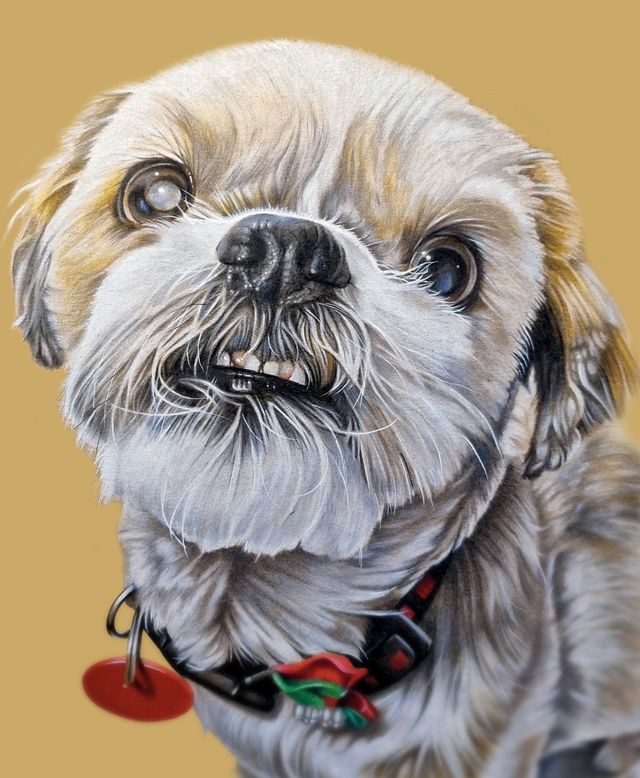 Colour pencil