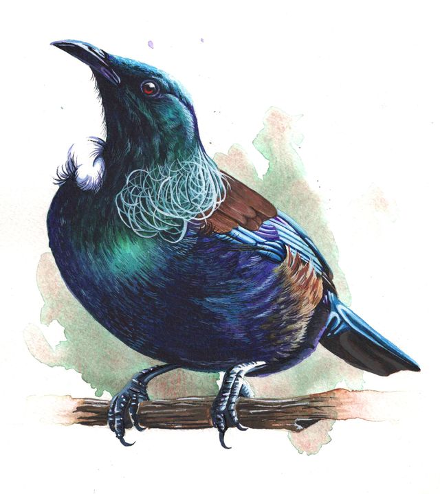 Watercolour