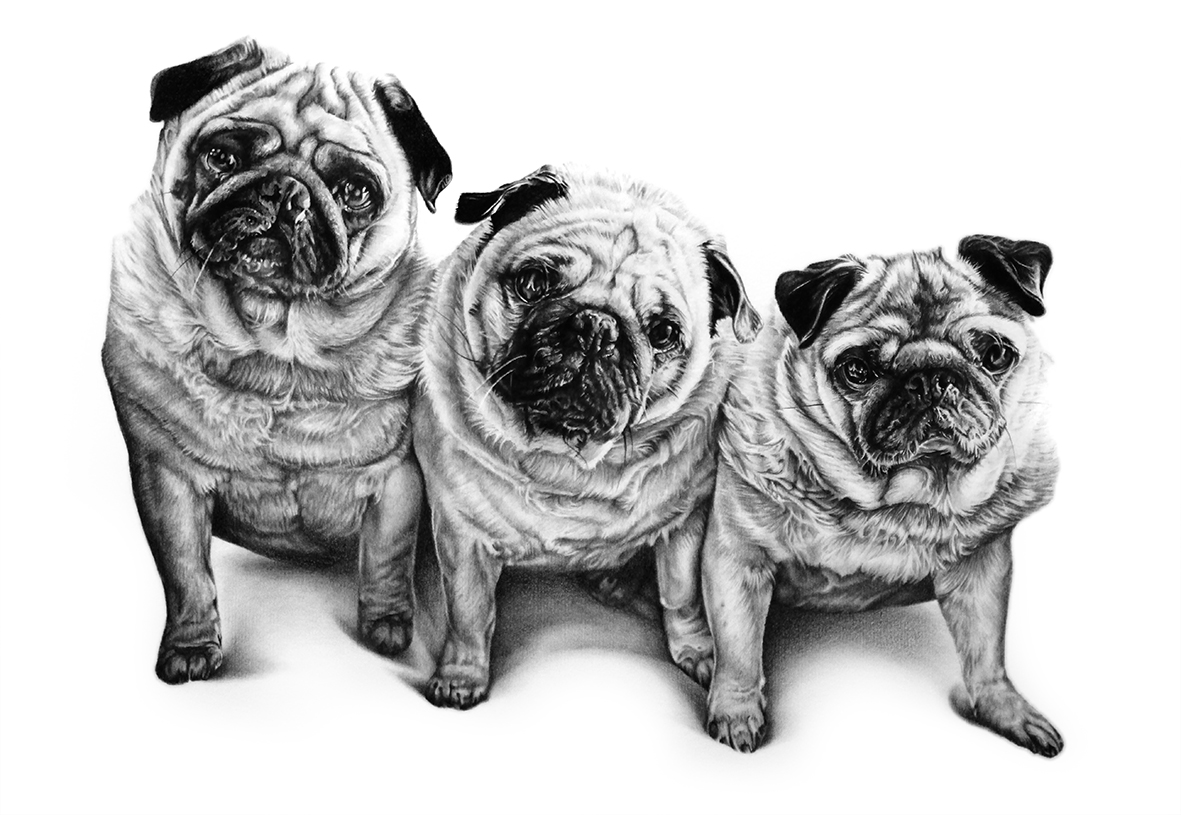 PUGS_SMALL