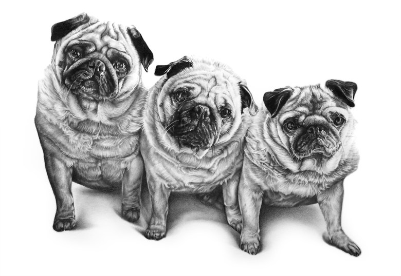 PUGS_SMALL